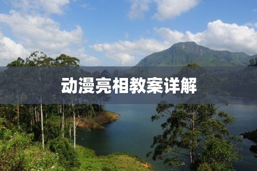 動漫亮相教案詳解