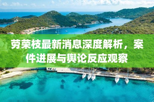 勞榮枝最新消息深度解析，案件進展與輿論反應觀察