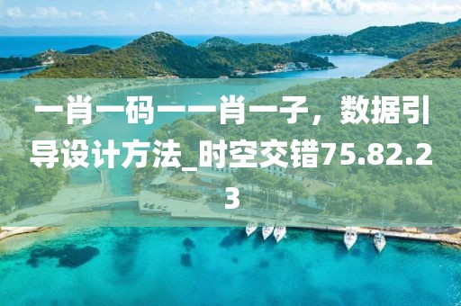 一肖一碼一一肖一子，數據引導設計方法_時空交錯75.82.23