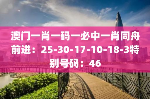 澳門一肖一碼一必中一肖同舟前進：25-30-17-10-18-3特別號碼：46