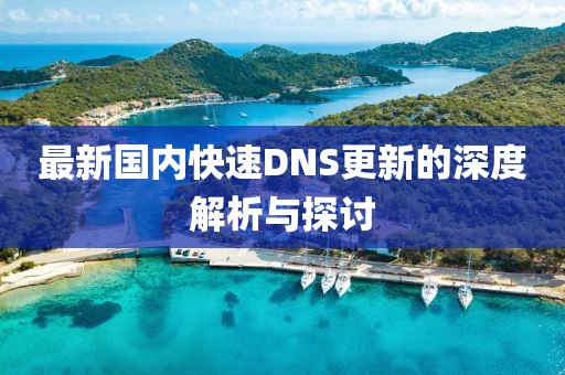 最新國內快速DNS更新的深度解析與探討