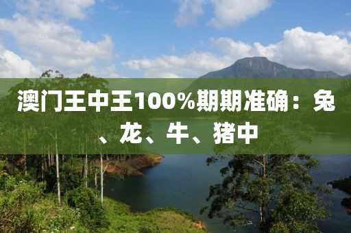 澳門王中王100%期期準確：兔、龍、牛、豬中