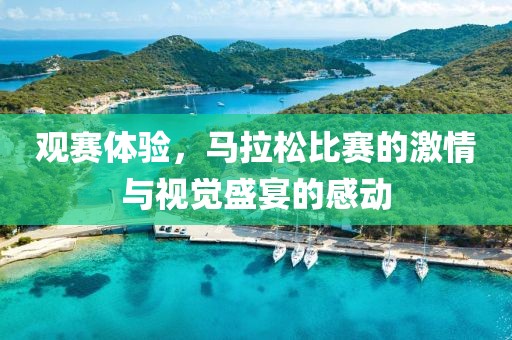 觀賽體驗，馬拉松比賽的激情與視覺盛宴的感動