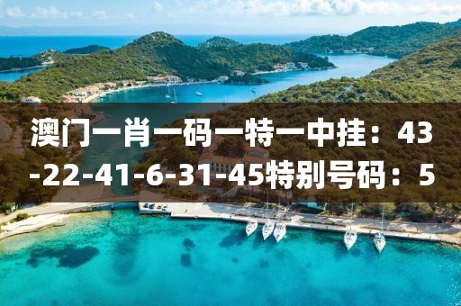 澳門一肖一碼一特一中掛：43-22-41-6-31-45特別號碼：5