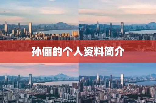孫儷的個人資料簡介