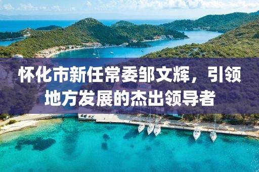 懷化市新任常委鄒文輝，引領地方發展的杰出領導者