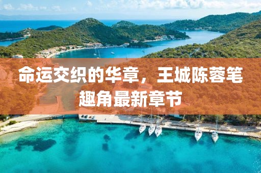 命運交織的華章，王城陳蓉筆趣角最新章節