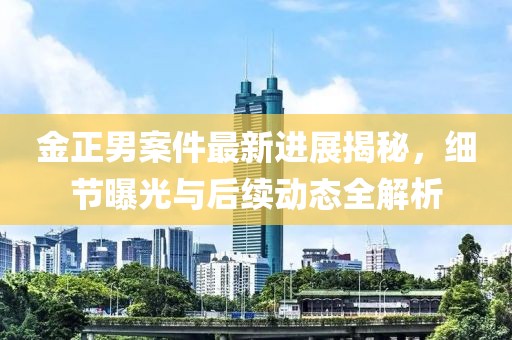 金正男案件最新進展揭秘，細節曝光與后續動態全解析