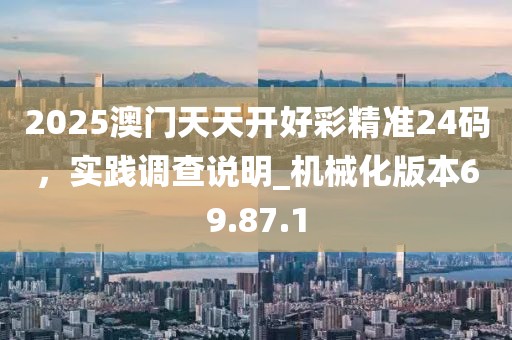 2025澳門天天開好彩精準24碼，實踐調查說明_機械化版本69.87.1