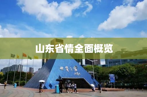 山東省情全面概覽