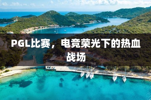 PGL比賽，電競榮光下的熱血戰場