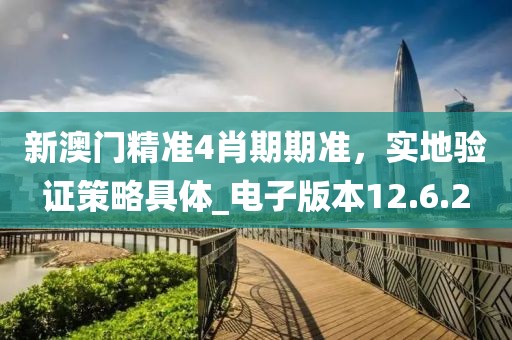 新澳門精準4肖期期準，實地驗證策略具體_電子版本12.6.2