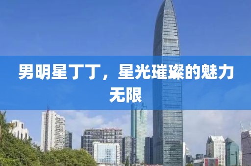 男明星丁丁，星光璀璨的魅力無限