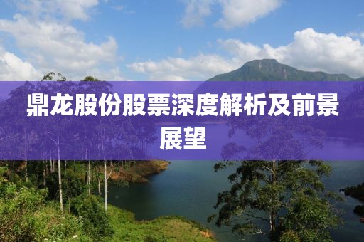 鼎龍股份股票深度解析及前景展望