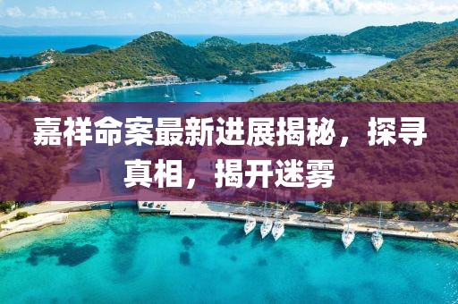 嘉祥命案最新進展揭秘，探尋真相，揭開迷霧