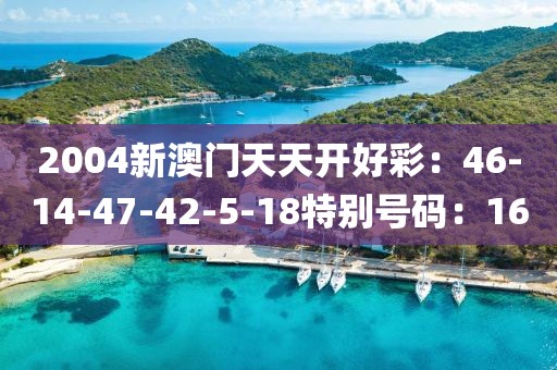 2004新澳門天天開好彩：46-14-47-42-5-18特別號碼：16