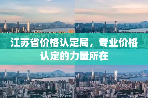 江蘇省價格認定局，專業價格認定的力量所在