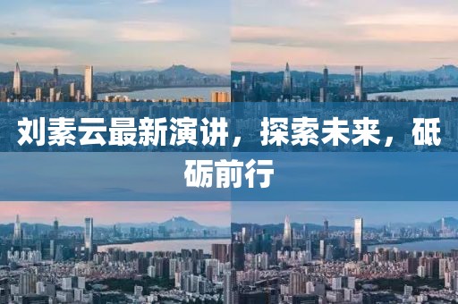 劉素云最新演講，探索未來，砥礪前行