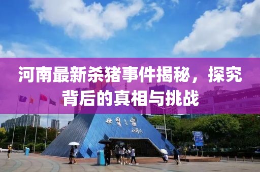 河南最新殺豬事件揭秘，探究背后的真相與挑戰