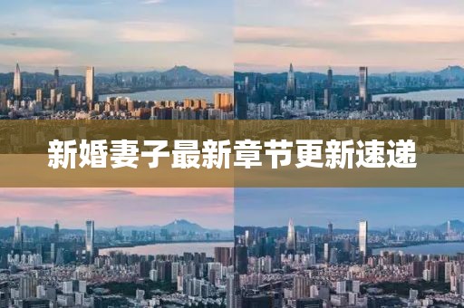 新婚妻子最新章節更新速遞