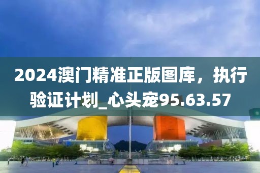 2024澳門精準正版圖庫，執行驗證計劃_心頭寵95.63.57