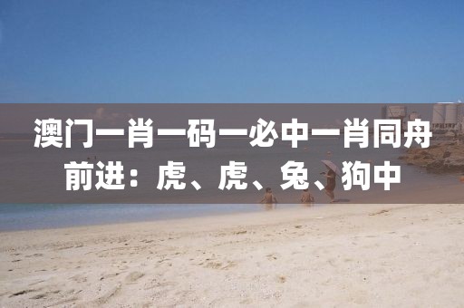 澳門一肖一碼一必中一肖同舟前進：虎、虎、兔、狗中