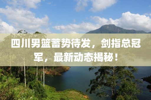 四川男籃蓄勢待發，劍指總冠軍，最新動態揭秘！