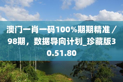 澳門一肖一碼100%期期精準／98期，數據導向計劃_珍藏版30.51.80