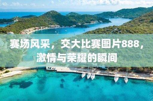賽場風采，交大比賽圖片888，激情與榮耀的瞬間