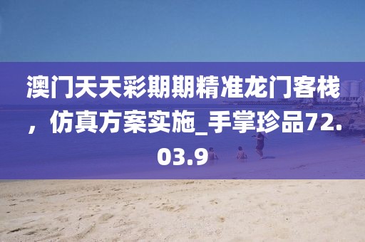 澳門天天彩期期精準龍門客棧，仿真方案實施_手掌珍品72.03.9