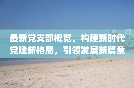 最新黨支部概覽，構建新時代黨建新格局，引領發展新篇章