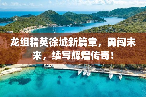 龍組精英徐城新篇章，勇闖未來，續寫輝煌傳奇！