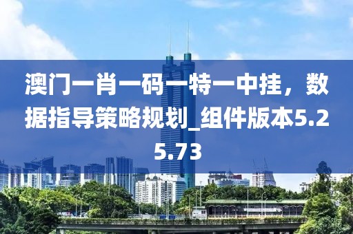 澳門一肖一碼一特一中掛，數據指導策略規劃_組件版本5.25.73