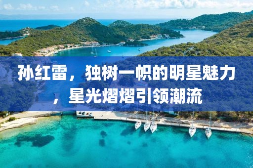 孫紅雷，獨樹一幟的明星魅力，星光熠熠引領潮流