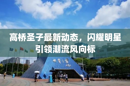 高橋圣子最新動態，閃耀明星引領潮流風向標