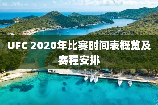 UFC 2020年比賽時間表概覽及賽程安排