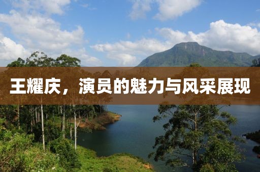 王耀慶，演員的魅力與風采展現