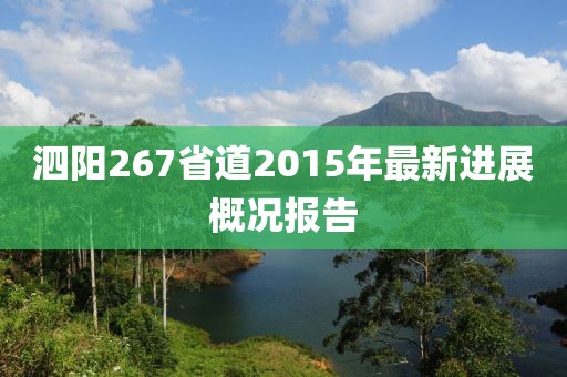 泗陽267省道2015年最新進展概況報告