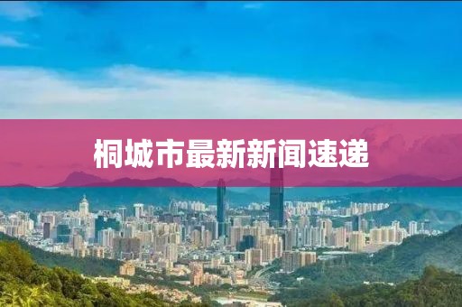 桐城市最新新聞速遞