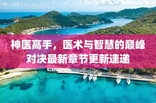神醫高手，醫術與智慧的巔峰對決最新章節更新速遞