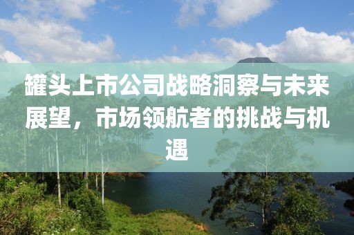 罐頭上市公司戰略洞察與未來展望，市場領航者的挑戰與機遇