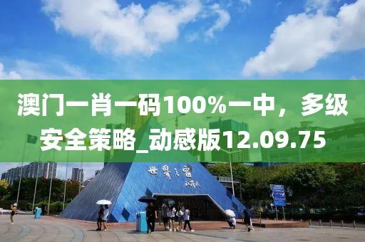 澳門一肖一碼100%一中，多級安全策略_動感版12.09.75