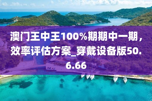 澳門王中王100%期期中一期，效率評估方案_穿戴設備版50.6.66
