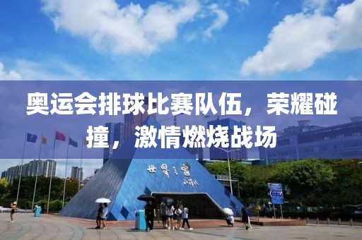 奧運會排球比賽隊伍，榮耀碰撞，激情燃燒戰場