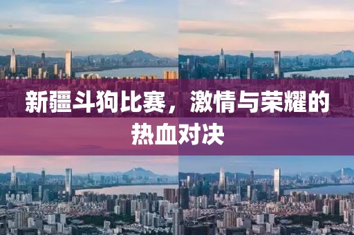 新疆斗狗比賽，激情與榮耀的熱血對決