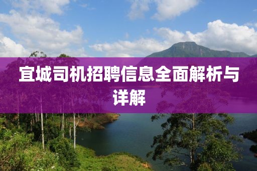 宜城司機招聘信息全面解析與詳解