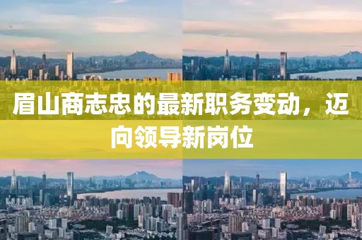 眉山商志忠的最新職務變動，邁向領導新崗位