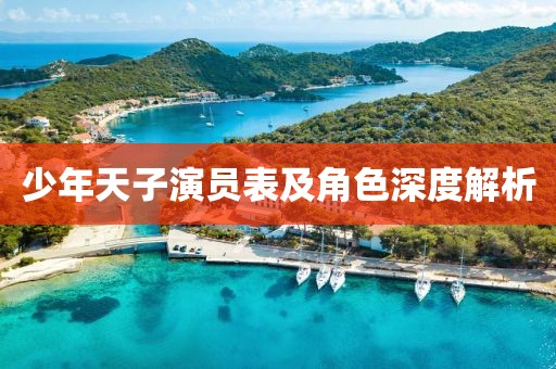少年天子演員表及角色深度解析