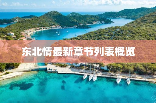 東北情最新章節列表概覽