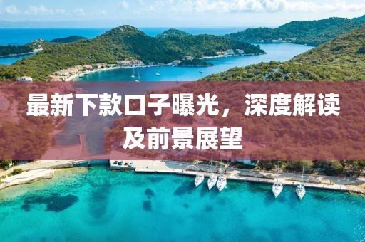 最新下款口子曝光，深度解讀及前景展望